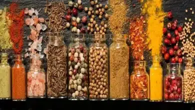 Temperos caseiros secos para preparar os mais deliciosos pratos com facilidade e muito sabor 29 Receita de Temperos caseiros secos para preparar os mais deliciosos pratos