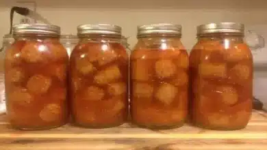Receita de salsicha em conserva