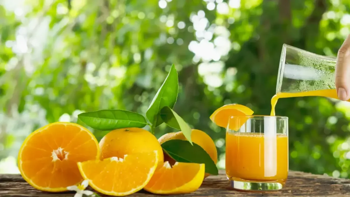 5 Sucos naturais para Saúde: nutrição, energia e imunidade de forma simples e prática 2 Receitas de Sucos naturais para Saúde