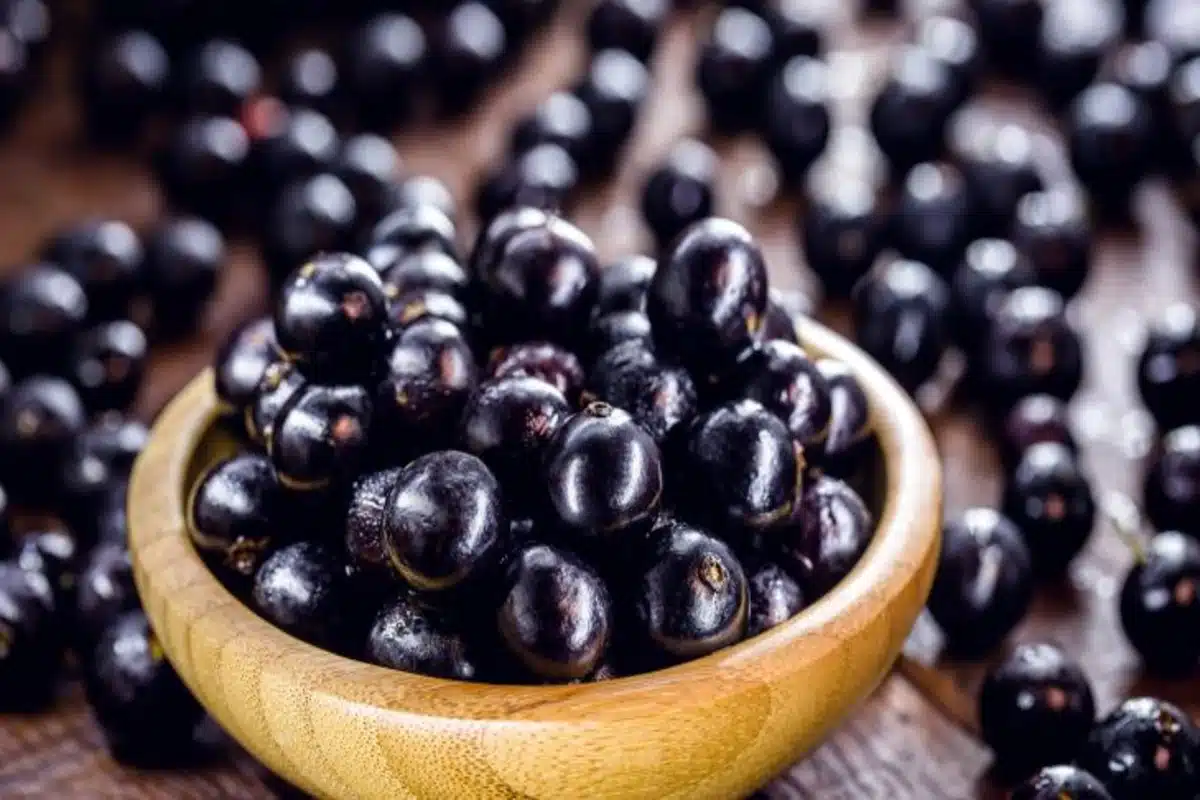 Como fazer geleia de jabuticaba simples 2 a melhor geleia de jabuticaba